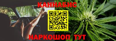 сатива Гусиноозёрск