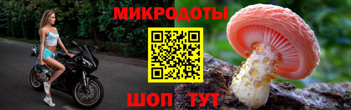 Назрань  Псилоцибиновые грибы Cubensis  Вход с VPN  Галлюциногенные грибы Psilocybe 